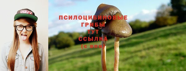 прущий лед Абаза