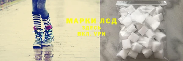 стаф Медвежьегорск