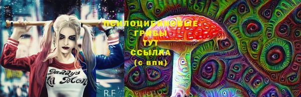 прущий лед Абаза