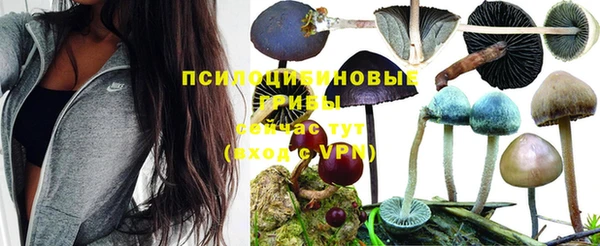 винт Мегион