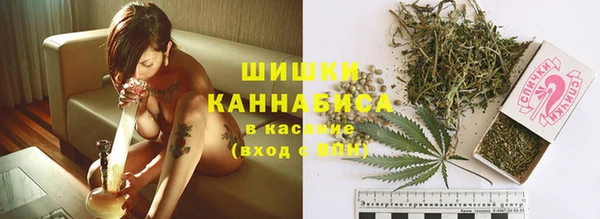 прущий лед Абаза