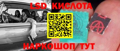 гашик Кулебаки