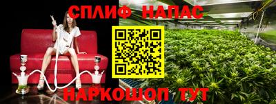 гашик Кулебаки