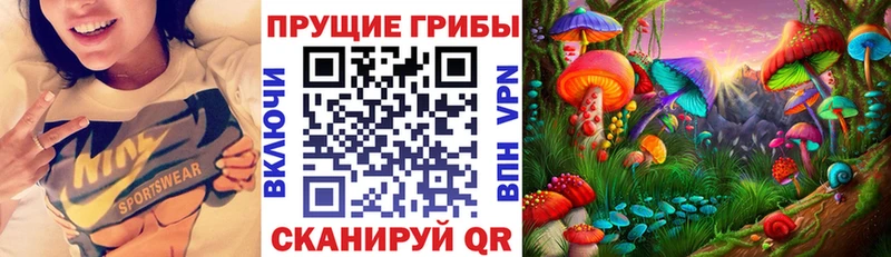 Псилоцибиновые грибы Psilocybe  Екатеринбург 