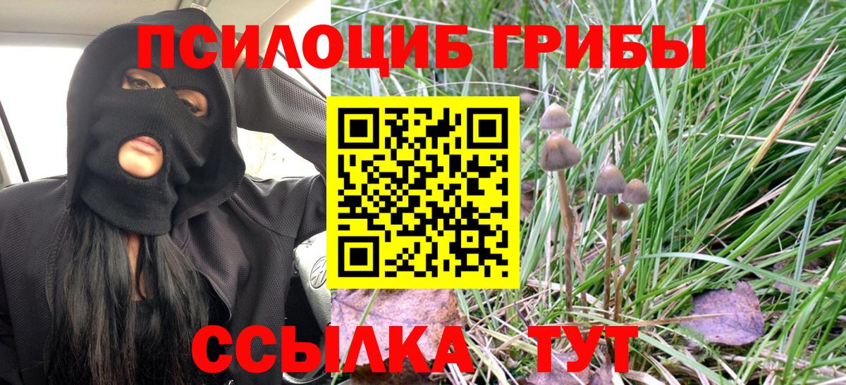 Галлюциногенные грибы Psilocybe Екатеринбург